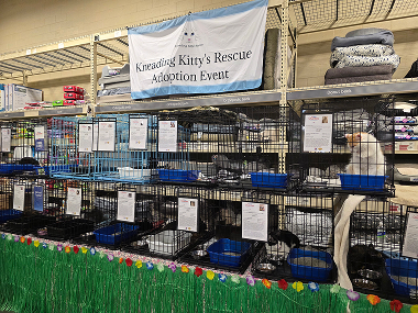 kneading-kittys-rescue-img-01